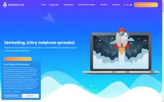 Seospace.pl Screenshot 2024-06-16 12:36:37