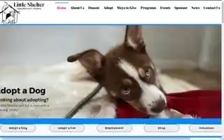 Littleshelter.org Screenshot 2024-07-05 09:37:53