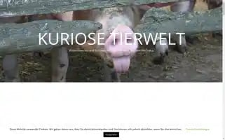 Kuriosetierwelt.de Screenshot 2024-05-16 04:57:55