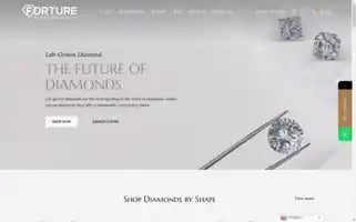 Forturediamond.com Screenshot 2024-05-28 23:12:50