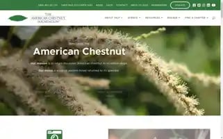 Acf.org Screenshot 2024-07-05 02:07:23