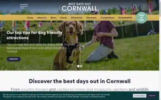 Bestdaysoutcornwall.co.uk Screenshot 2024-06-30 04:01:07
