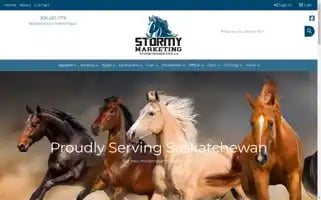Stormymarketing.ca Screenshot 2024-05-14 02:37:12