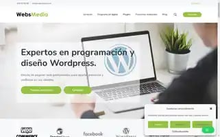 Websmedia.com Screenshot 2024-06-14 18:37:25