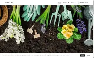 Fitbritinc.com Screenshot 2024-05-27 04:13:11