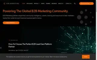 B2bmarketing.net Screenshot 2024-05-08 16:04:24