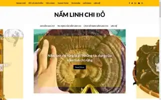 Namlinhchido.net Screenshot 2024-05-20 04:49:35