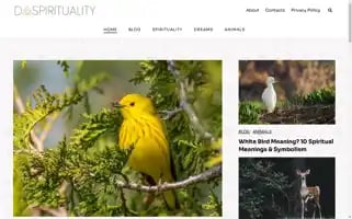 Dospirituality.com Screenshot 2024-05-28 05:17:55