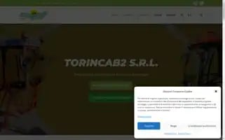 Torincab2.com Screenshot 2024-06-27 02:29:12