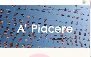 Apiaceretours.com Screenshot 2024-04-16 07:19:25