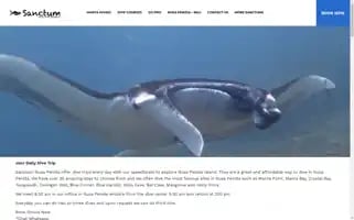 Sanctumdiveindonesia.com Screenshot 2024-06-11 18:51:19