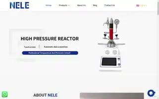 Neleinstrument.com Screenshot 2024-05-25 01:48:58