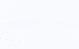 Markafabrikasi.com Screenshot 2024-07-08 10:51:24