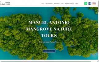 Mangrovetoursmanuelantonio.com Screenshot 2024-04-15 21:41:40