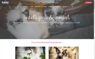 Rabbit.org Screenshot 2024-05-13 14:52:27