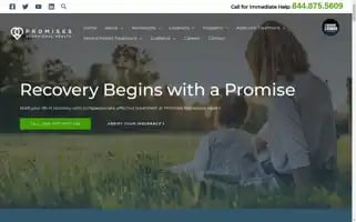 Promises.com Screenshot 2024-06-30 12:27:30
