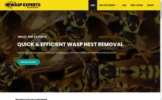 Waspexperts.co.uk Screenshot 2024-07-06 01:29:32