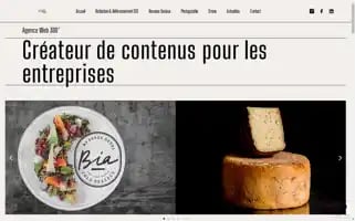 Agencescribe.fr Screenshot 2024-07-03 10:41:00