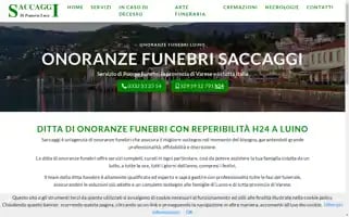 Saccaggi.com Screenshot 2024-07-08 06:27:16