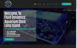 Fluiddynamicsinternational.com Screenshot 2024-06-13 12:41:38