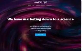 Jaymitripp.com Screenshot 2024-04-15 13:24:03