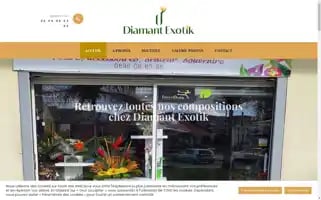 Diamantexotik.com Screenshot 2024-05-18 19:27:46