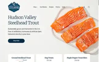 Hudsonvalleyfisheries.com Screenshot 2024-05-05 23:17:49