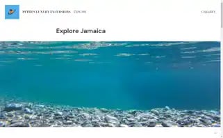 Northcoasttoursja.com Screenshot 2024-04-14 09:39:00