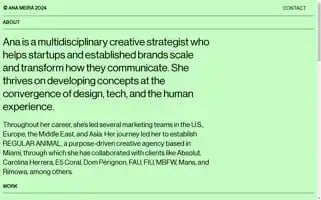 Anameira.com Screenshot 2024-06-30 12:41:40