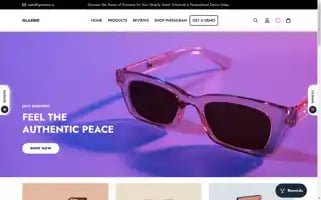 Ssw-demo.myshopify.com Screenshot 2024-05-05 23:42:48