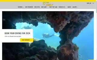 Nds-malta.com Screenshot 2024-05-05 05:28:05