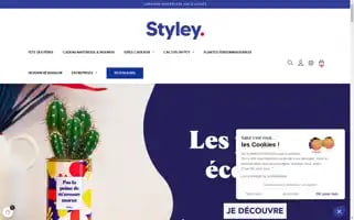 Styley.co Screenshot 2024-06-15 16:52:34