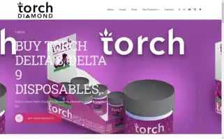 Torch-diamond.com Screenshot 2024-05-24 18:03:24