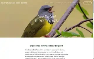 Newenglandbirdtours.com Screenshot 2024-04-15 10:46:43