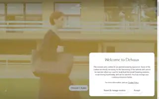 Delvaux.com Screenshot 2024-07-04 15:50:46