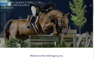 Rideemo.com Screenshot 2024-06-28 21:23:20