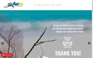 Koolcatecotours.com Screenshot 2024-04-23 14:25:09