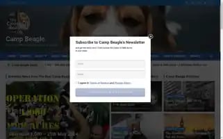 Thecampbeagle.com Screenshot 2024-05-21 15:54:11