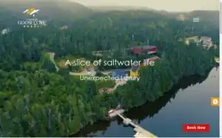 Lodgingatgoosecove.com Screenshot 2024-05-28 15:44:53