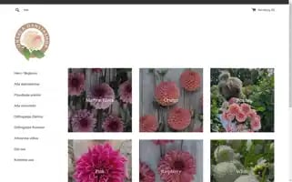 Onsaladahliashop.se Screenshot 2024-04-14 18:35:08