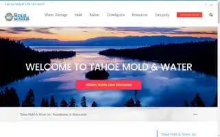 Tahoemoldandwater.com Screenshot 2024-07-05 18:21:15