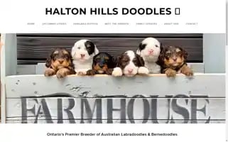 Haltonhillsdoodles.com Screenshot 2024-05-16 00:51:33