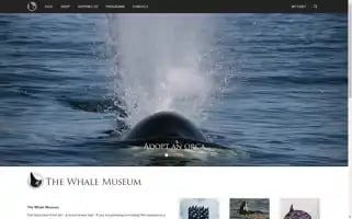 Whalemuseum.org Screenshot 2024-05-04 13:18:24