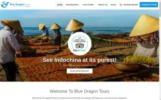 Bluedragontours.com Screenshot 2024-04-15 13:46:32