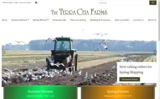 Terraceiafarms.com Screenshot 2024-05-14 06:35:12