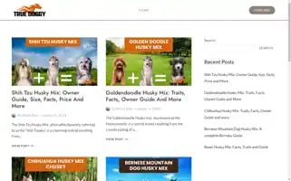Truedoggy.com Screenshot 2024-04-18 14:04:42