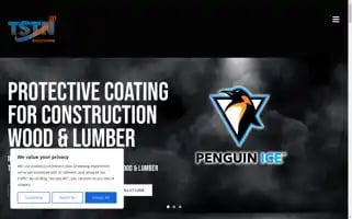 Tstnsolutions.com Screenshot 2024-06-29 14:52:56
