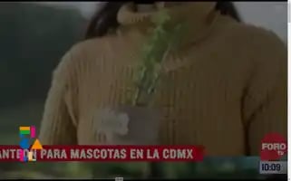 Figallo.agency Screenshot 2024-07-03 15:30:37