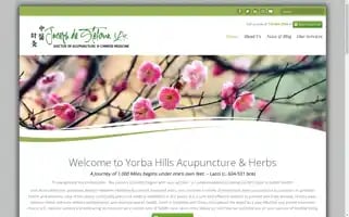 Yorbahillsacu.com Screenshot 2024-06-13 07:40:58