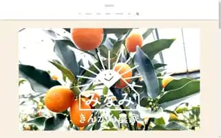 Mkinkan.com Screenshot 2024-05-20 06:32:33